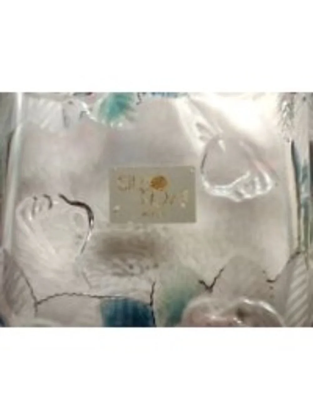 Studio Nova Serving Tray Dish 3-Part Clear Rose Flower Embossed Platter